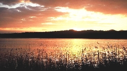 「神西湖の日の出」